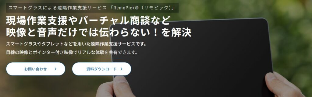 RemoPick